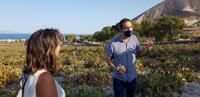 Santorin - Weinverkostung im Weingut Argyros