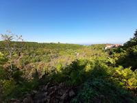 Litochoro - Wanderung am Fuße des Olymp (Enipea-Schlucht)