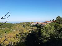Litochoro - Wanderung am Fuße des Olymp (Enipea-Schlucht)