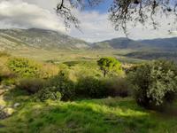 Umgebung  des Kloster Hosios Lukas 