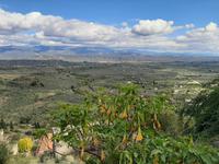 Mystras - Blick vom Kloster Pantanassa ins Umland 
