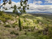 Mystras - Blick ins Umland 