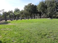 Olympia - Palaestra (Ringplatz)