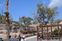 Ausgrabungsstätte von Akrotiri