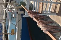 Kalimari zum trocknen