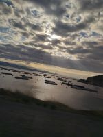 Fischzucht in der Meeresbucht