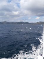 Rückblick auf das Festland