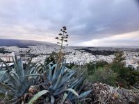 Ausblick vom Lykabettus-Hügel