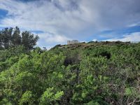 Kap Sounion - Tempel des Poseidon 