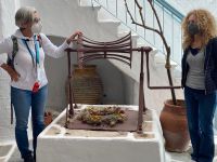 Insel-Likör Verkostung