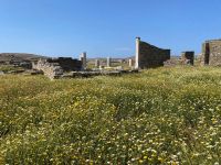 Ausgrabungen auf der Insel Delos