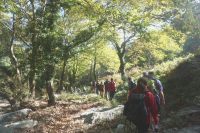 004 Wanderung Agios Dimitrios