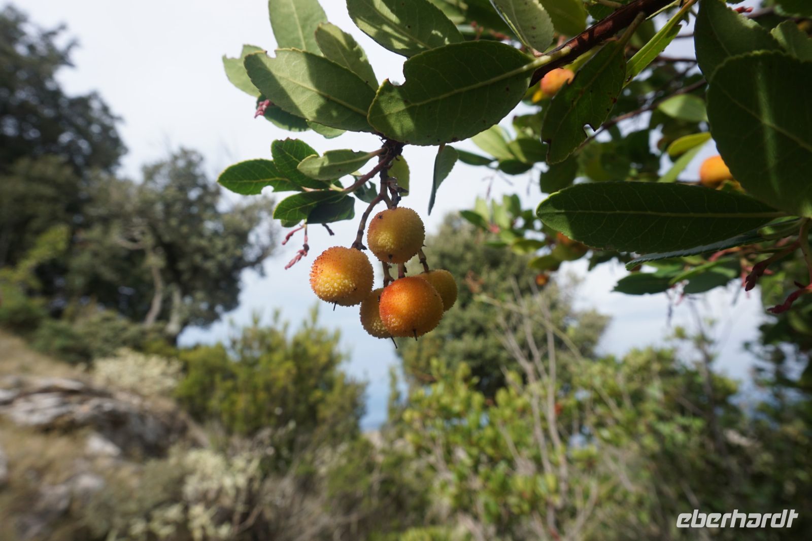 048 Wanderung Drachenhäuser