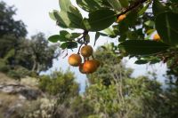 048 Wanderung Drachenhäuser