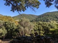 064 Wanderung Kellia