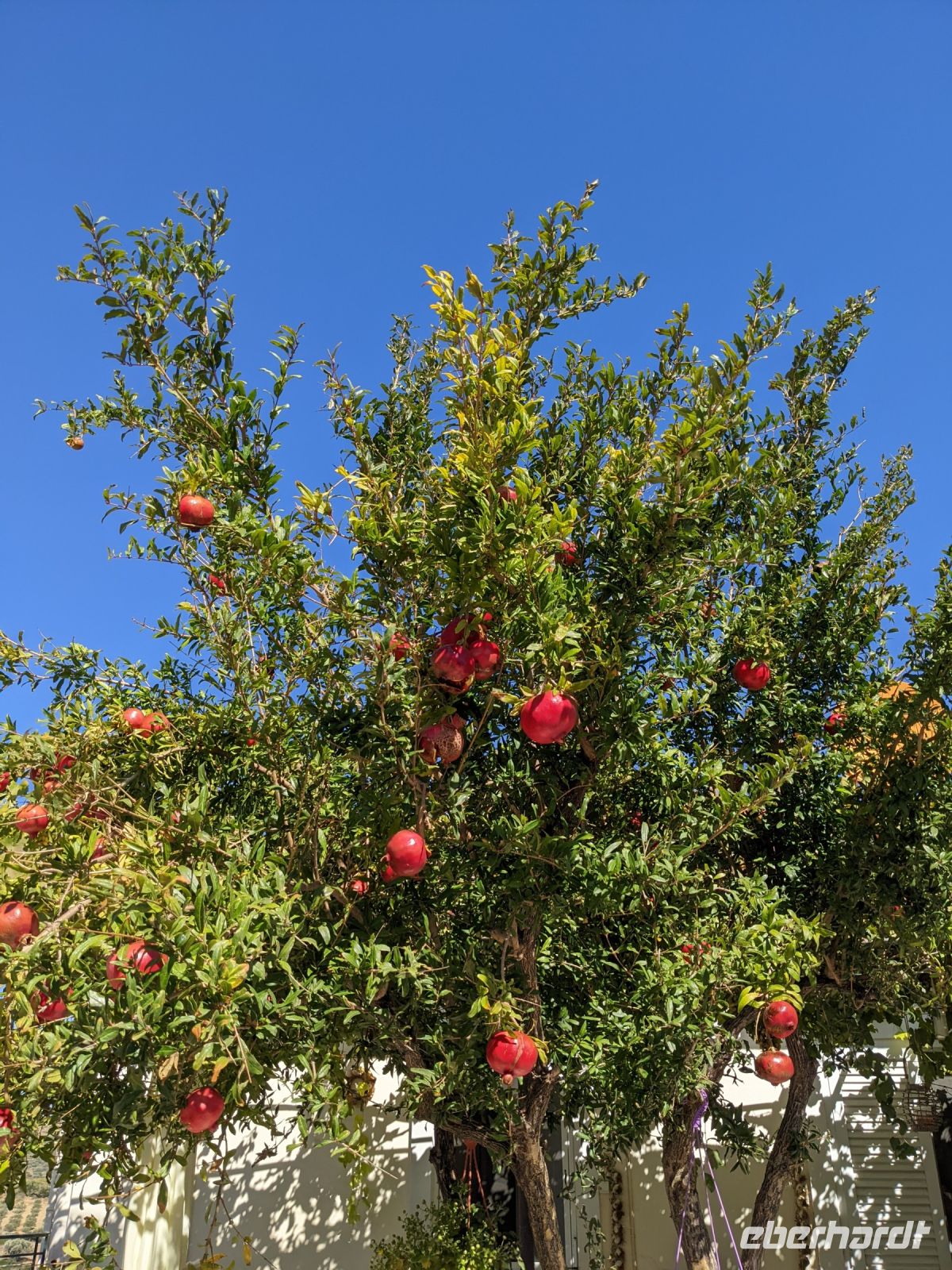 069 Wanderung Kellia