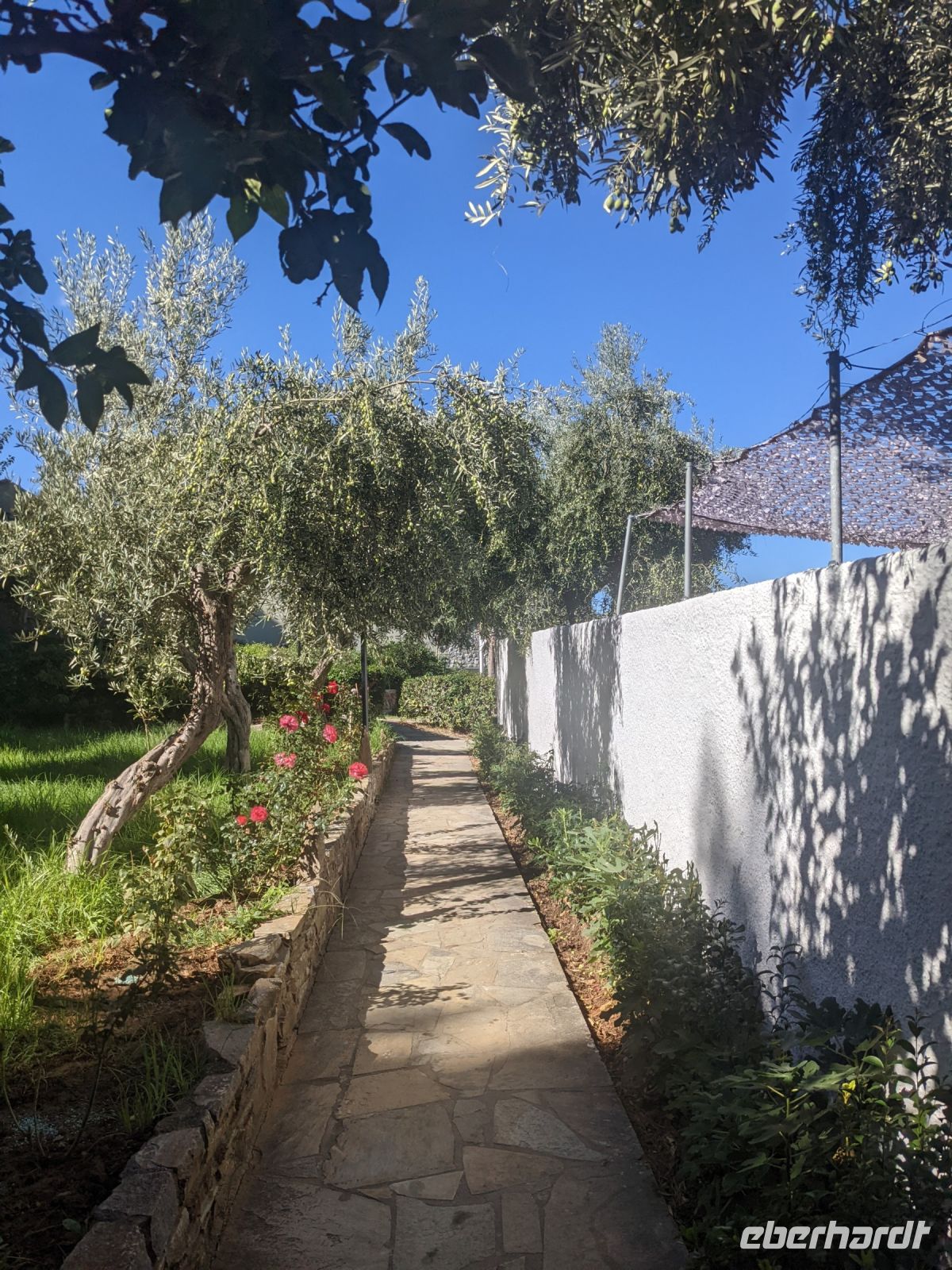 081 Gartenanlage Hotel