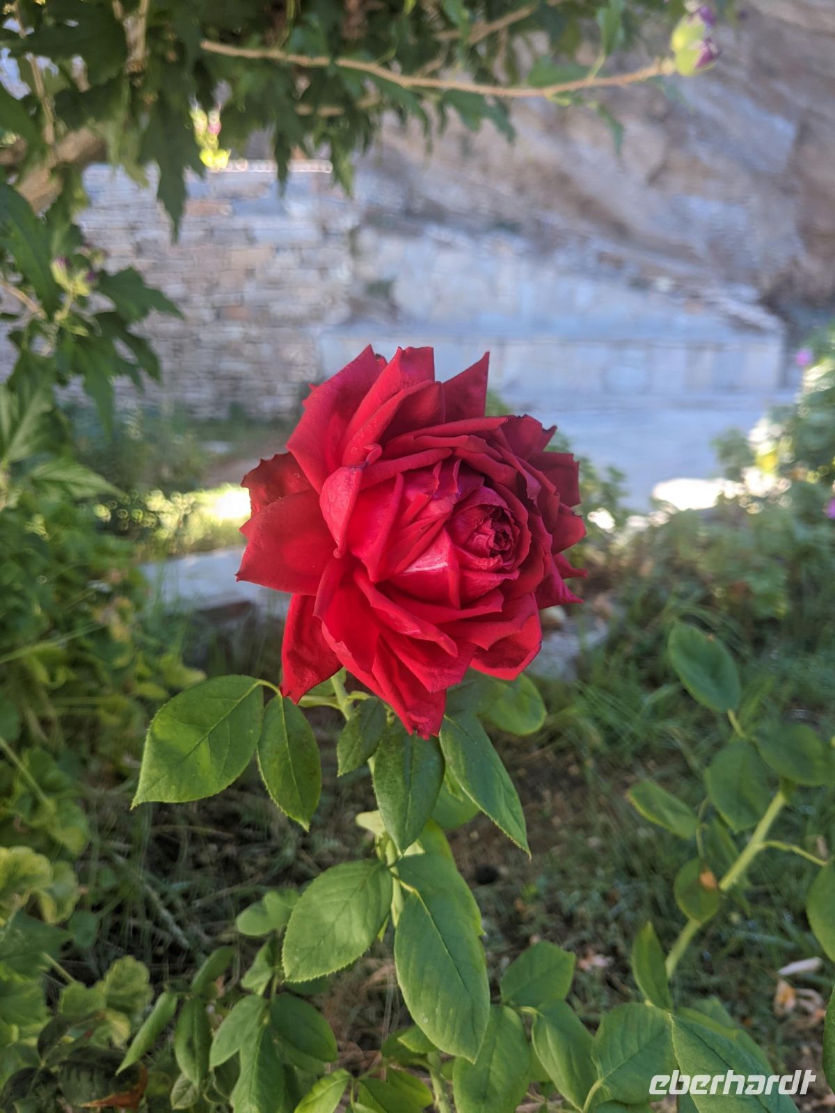 082 Gartenanlage Hotel