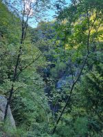 Wanderung am Fuße des Olymp - Litochoro (Enipeas-Schlucht)