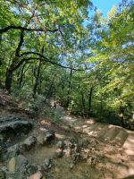 Meteora-Felsen - Pfad zum Kloster der heiligen Barbara Roussanou 