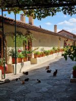 Mystras - Kloster Pantanassa