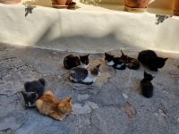 Mystras - Kloster Pantanassa