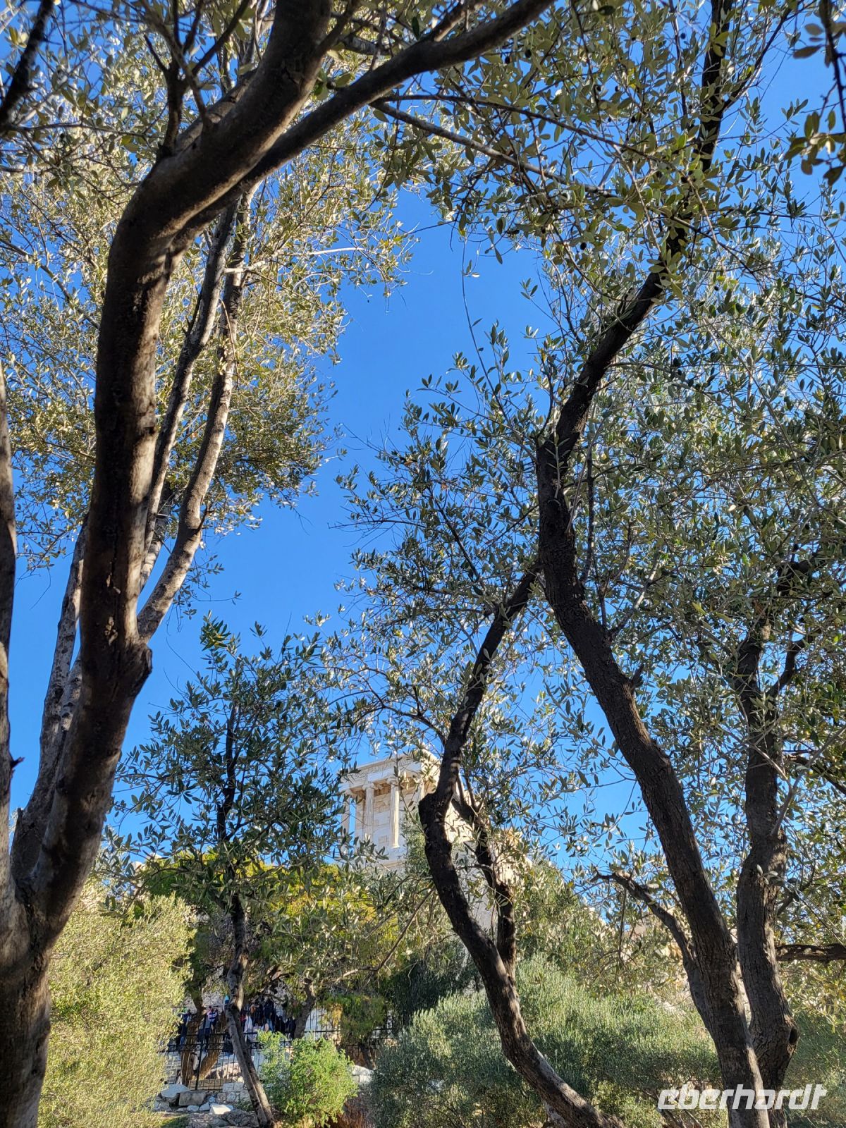 Blick durch die Bäume zu den antiken Tempeln