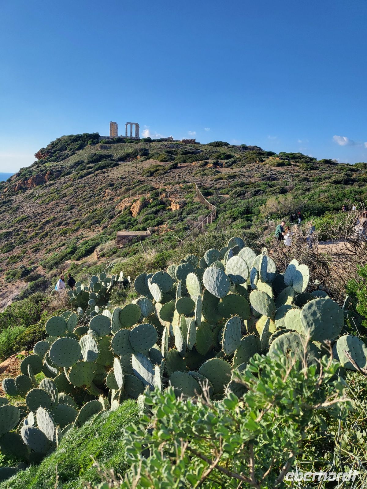 Poseidon Tempel auf Kap Sounion, mit Kaktus im Vordergrund 