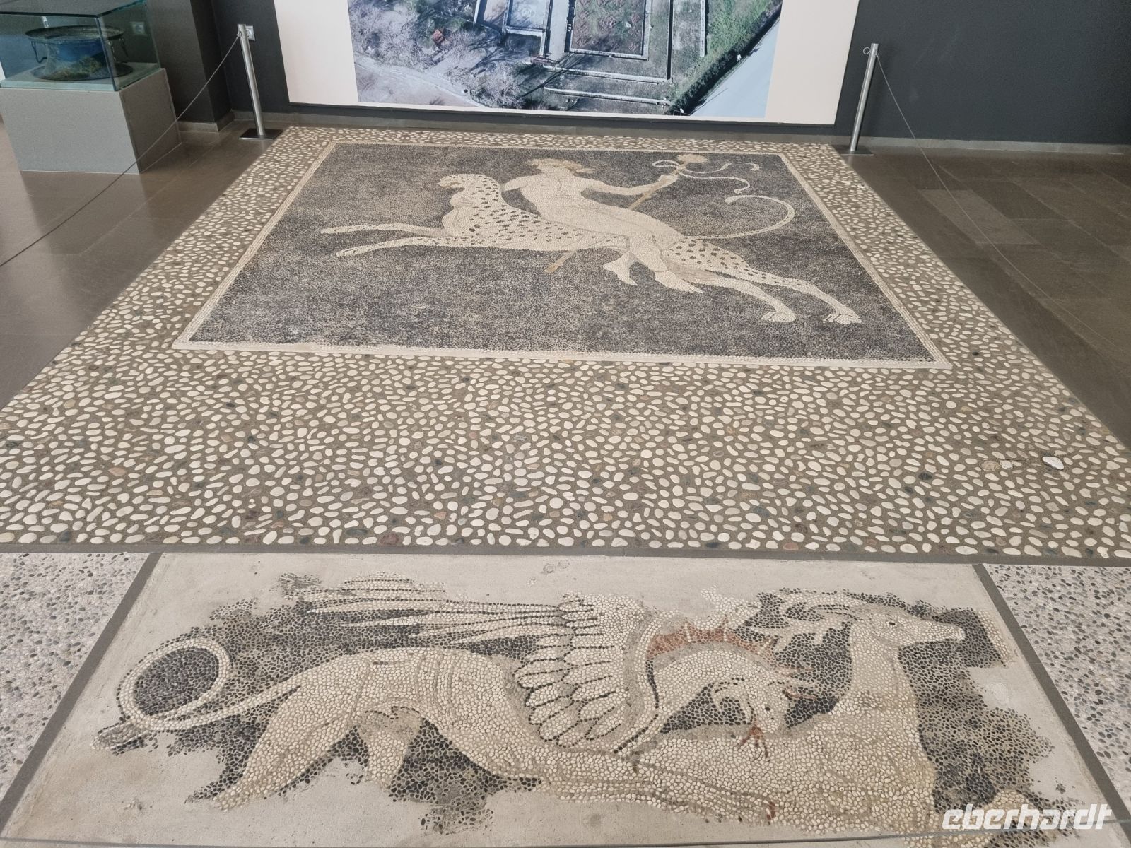 Archäologisches Museum von Pella (Mosaik aus dem Haus des Dionysos))