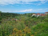 Wanderung am Fuße des Olymp - Litochoro (Enipeas-Schlucht)