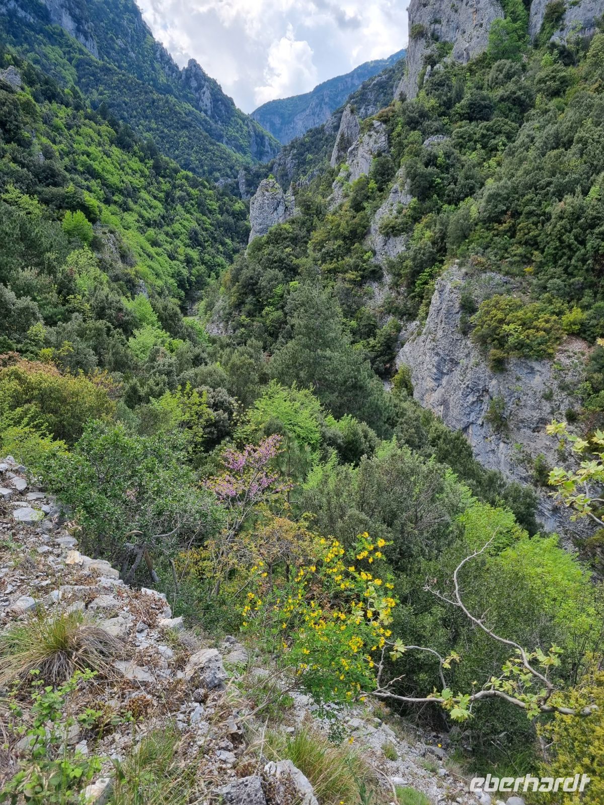 Wanderung am Fuße des Olymp - Litochoro (Enipeas-Schlucht)