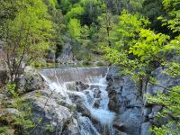 Wanderung am Fuße des Olymp - Litochoro (Enipeas-Schlucht - 