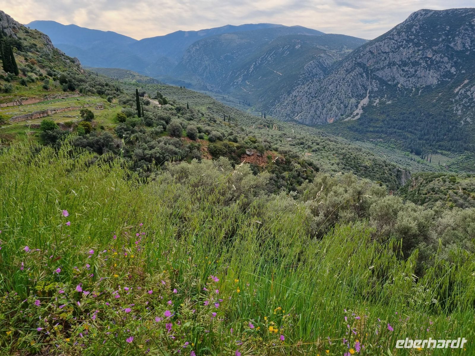 Landschaft von Delphi