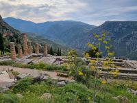 Delphi - Blick zum Apollontempel