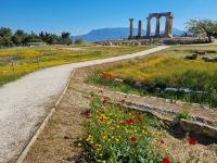 Alt-Korinth - Apollontempel 