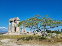 Alt-Korinth - Apollontempel 