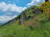 Mystras - Kloster Pantanassa