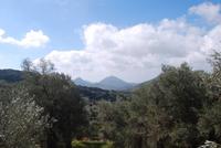 210. Panorama Naxos