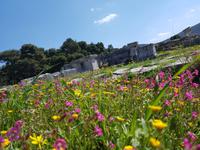 212_Epidaurus