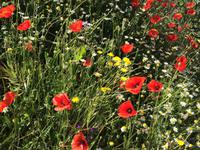 2131 Impressionen
