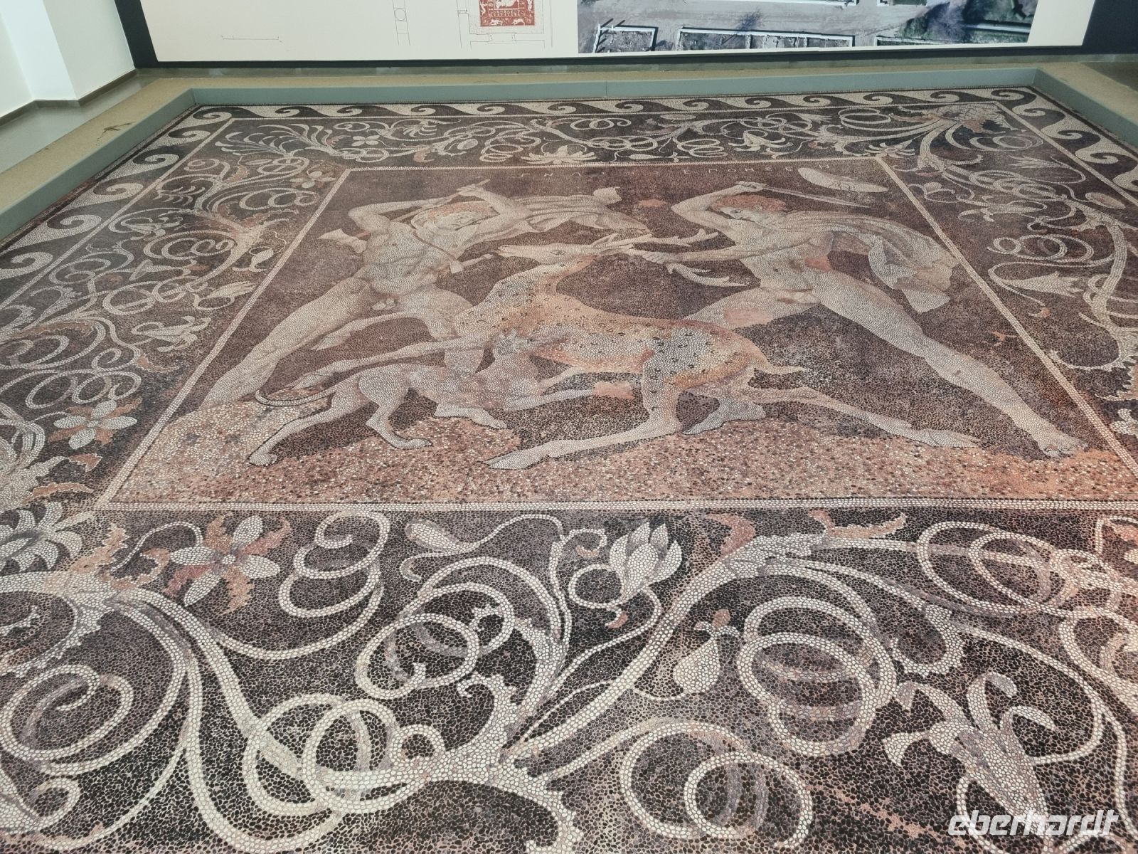 Archäologisches Museum von Pella (Mosaik aus dem Haus der Helena)