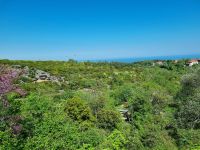 Wanderung am Fuße des Olymp - Litochoro 