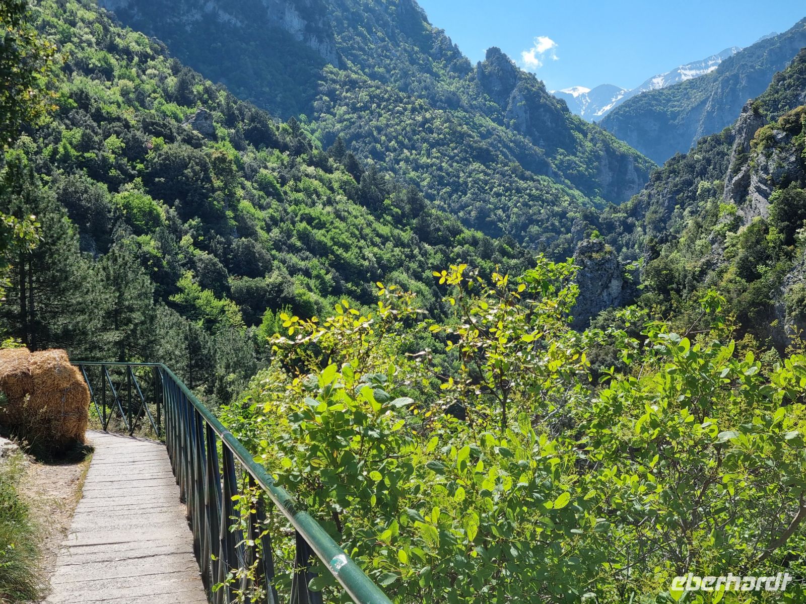 Wanderung am Fuße des Olymp - Litochoro (Enipeas-Schlucht)