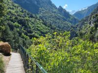 Wanderung am Fuße des Olymp - Litochoro (Enipeas-Schlucht)