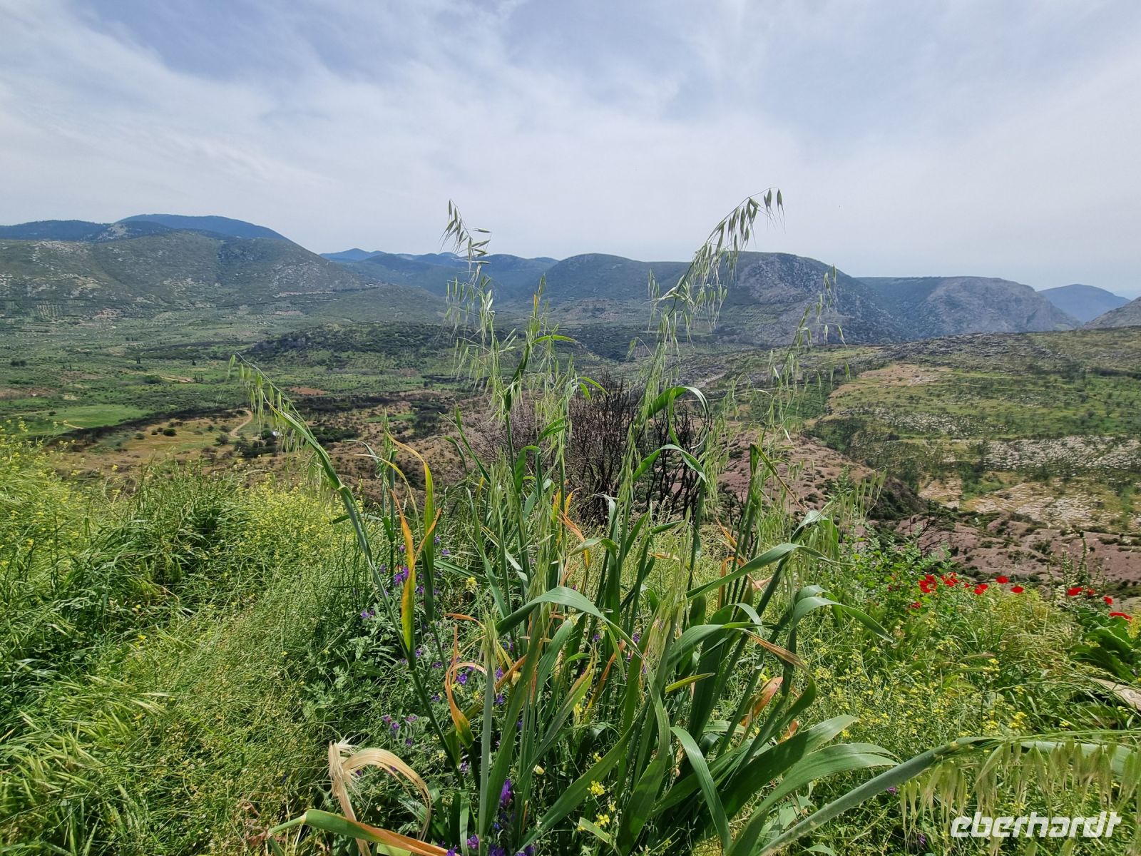 Umland des Klosters Hosios Lukas bzw. Osios Loukas