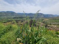 Umland des Klosters Hosios Lukas bzw. Osios Loukas