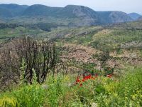 Umland des Klosters Hosios Lukas bzw. Osios Loukas