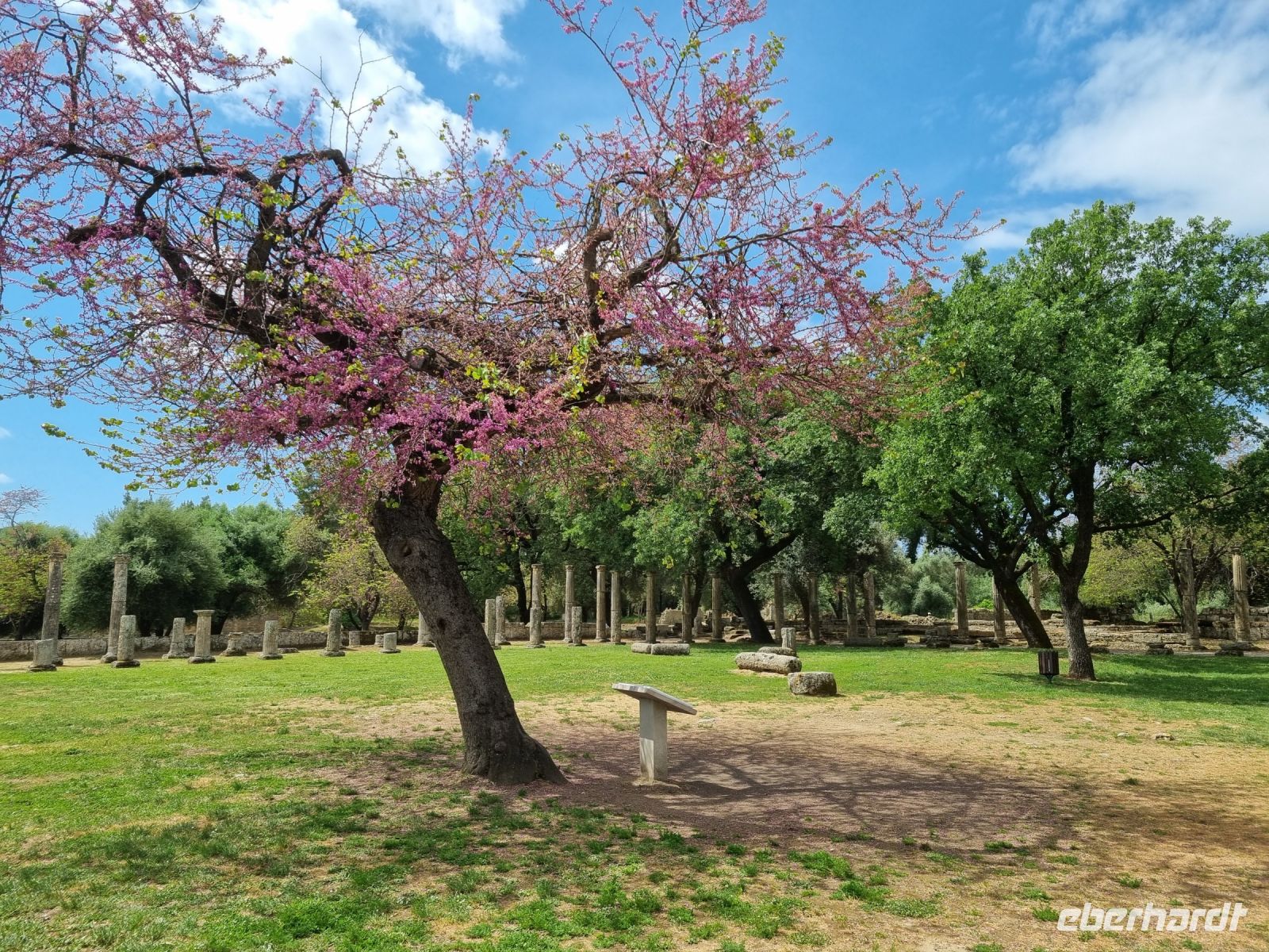 Olympia - Palästra mit Säulenhallen
