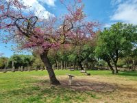 Olympia - Palästra mit Säulenhallen