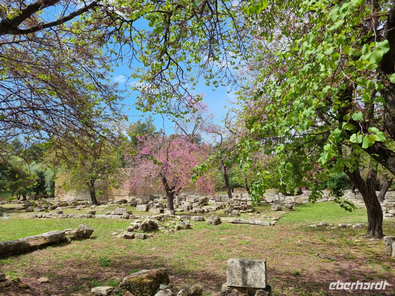 Olympia - Theokoleon (Priestersitz)